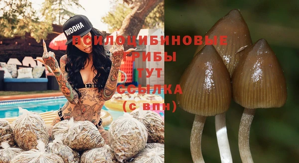 apvp Абаза