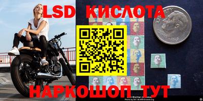mdpv Братск