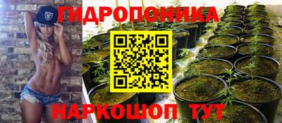 mdpv Братск