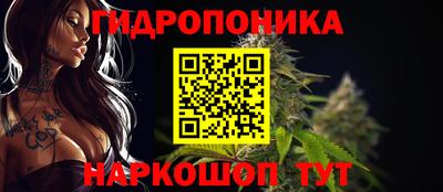 PSILOCYBIN Брянск