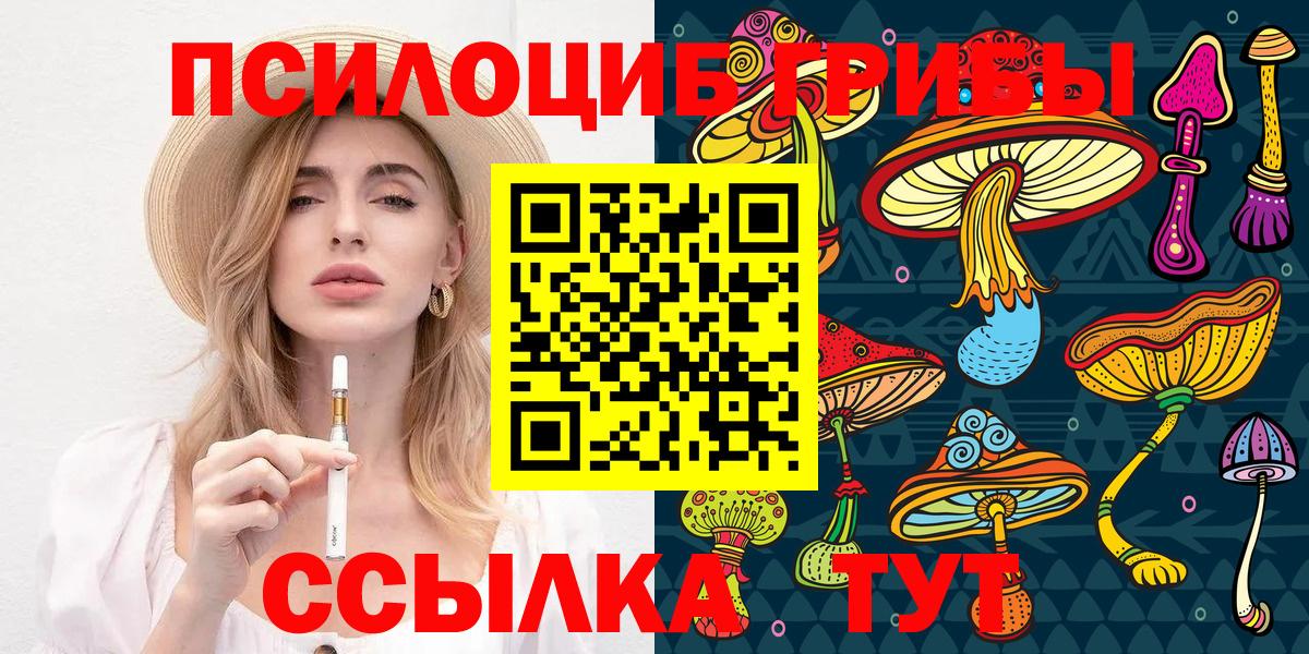 что такое   Галлюциногенные грибы MAGIC MUSHROOMS  Вход с VPN  Лиски 