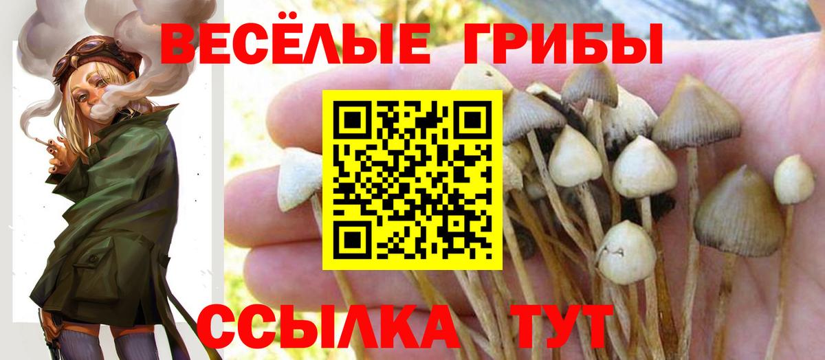 Псилоцибиновые грибы GOLDEN TEACHER Лиски